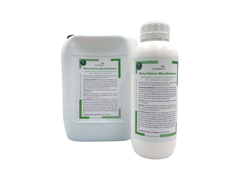 Metarhizium MycoSolutions gegen Engerlinge von Junikäfer, Gartenlaubkäfer und Japankäfer erhältlich in 1000 ml und 5000 ml.