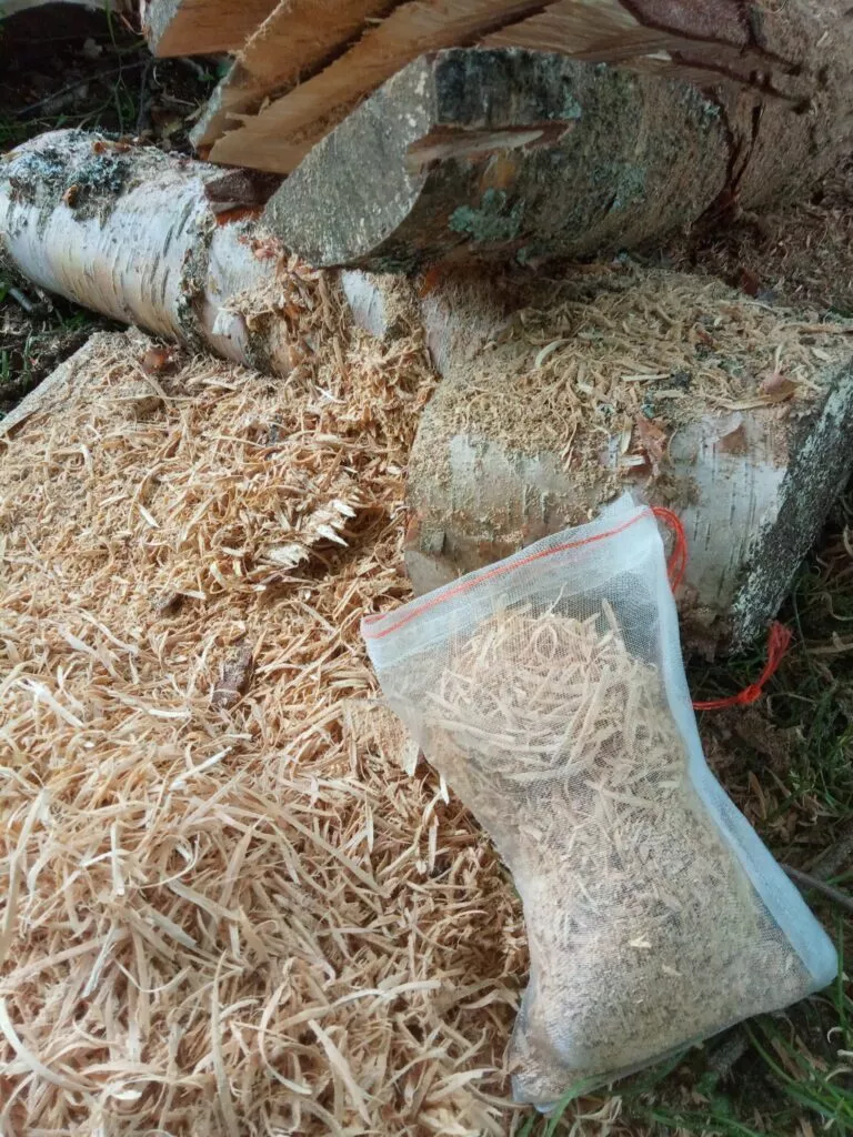 Vorbereitung der Mesh bags mit Hobelspänen von Holz für das Hallimasch (Armillaria sp.) Monitoring